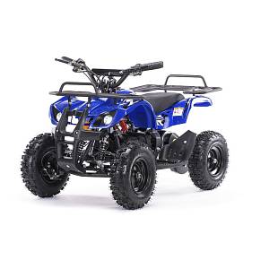 Квадроцикл MOTAX Mini Grizlik Х-16 Big Wheel 1000W (Синий)